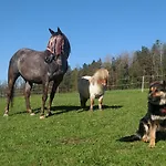Strobl * Borovany (Ceske Budejovice)