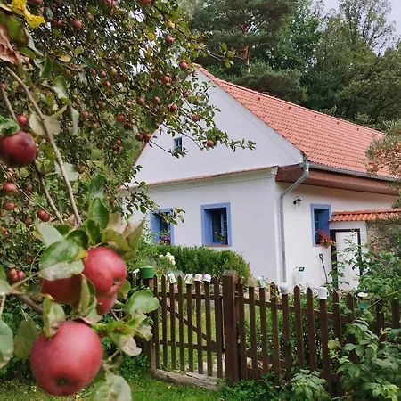 Lägenhet Strobl Borovany (Ceske Budejovice)