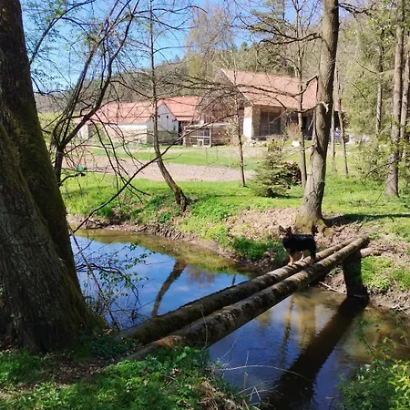 Strobl Lägenhet Borovany (Ceske Budejovice)
