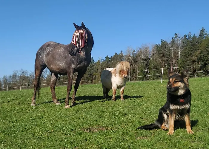 Strobl * Borovany (Ceske Budejovice)