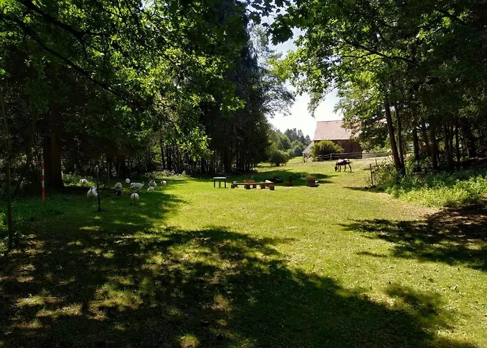 Апартаменты Strobl Borovany (Ceske Budejovice)