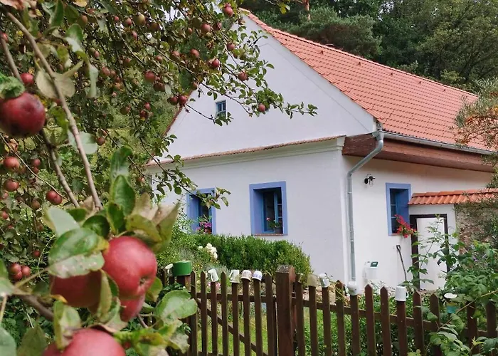 Apartament Strobl Borovany (Ceske Budejovice)